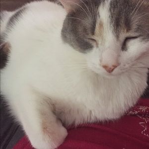 Meet your Posher, Jennifer